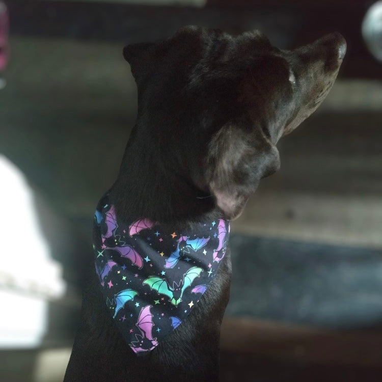 Rainbow skull dog bandana