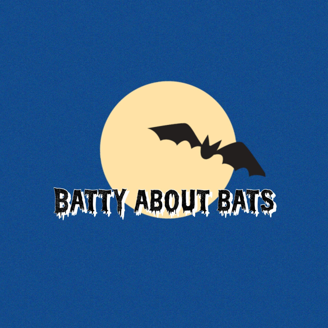 Batty about bats