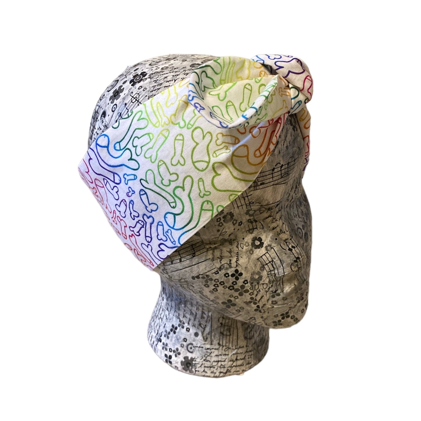 Rainbow peen hen night accessories