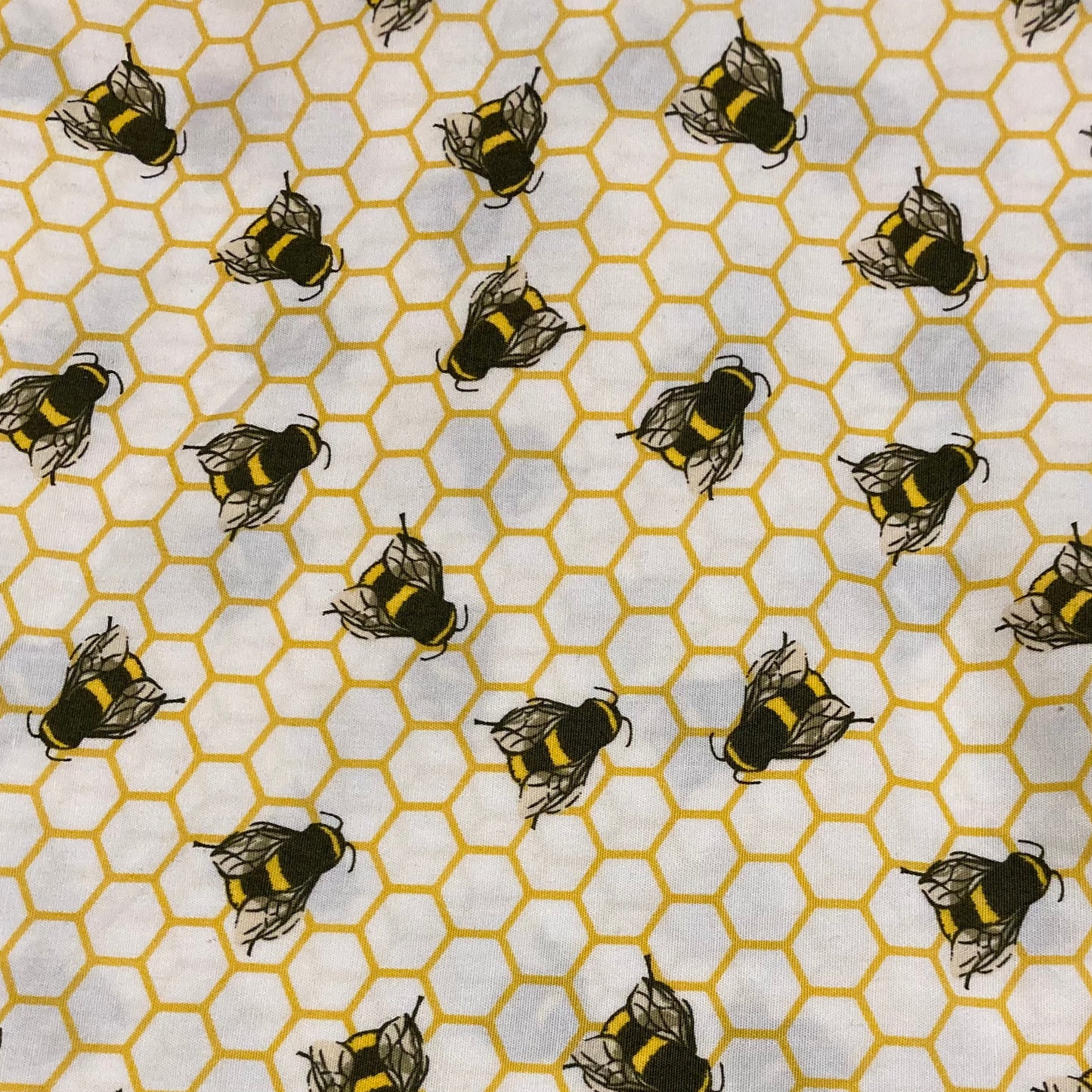 Bee Alice band